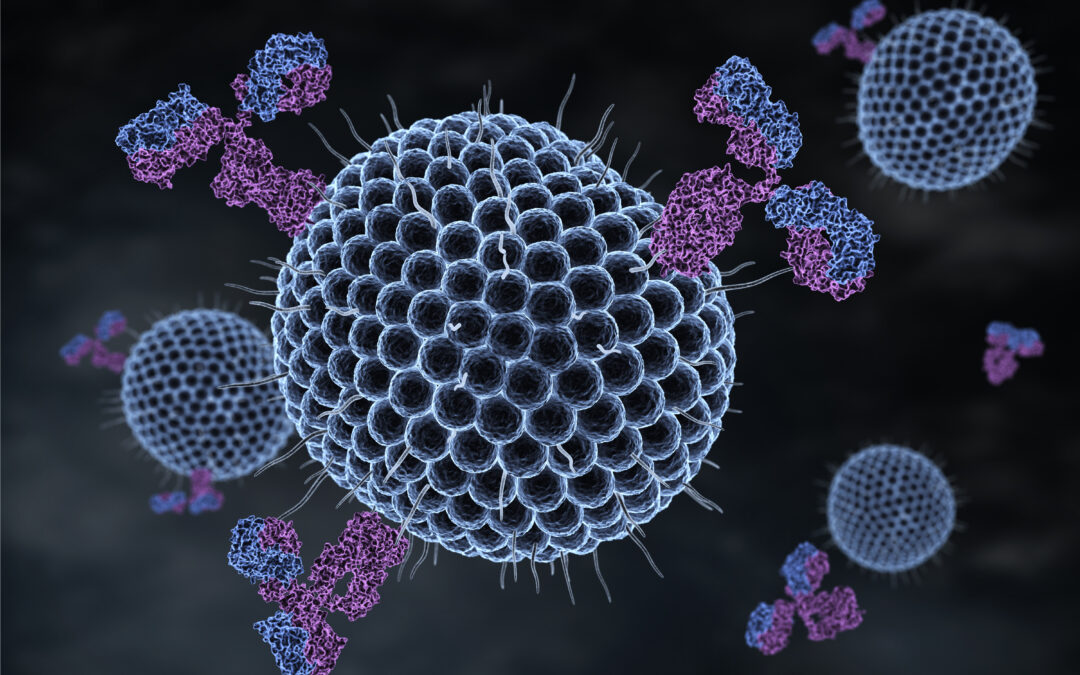 Herpes: o que fazer para não pegar?