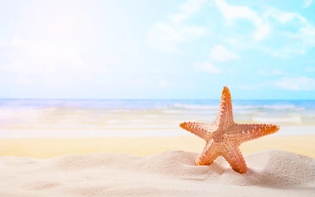 5 cuidados com a saúde para não atrapalhar suas férias de verão!