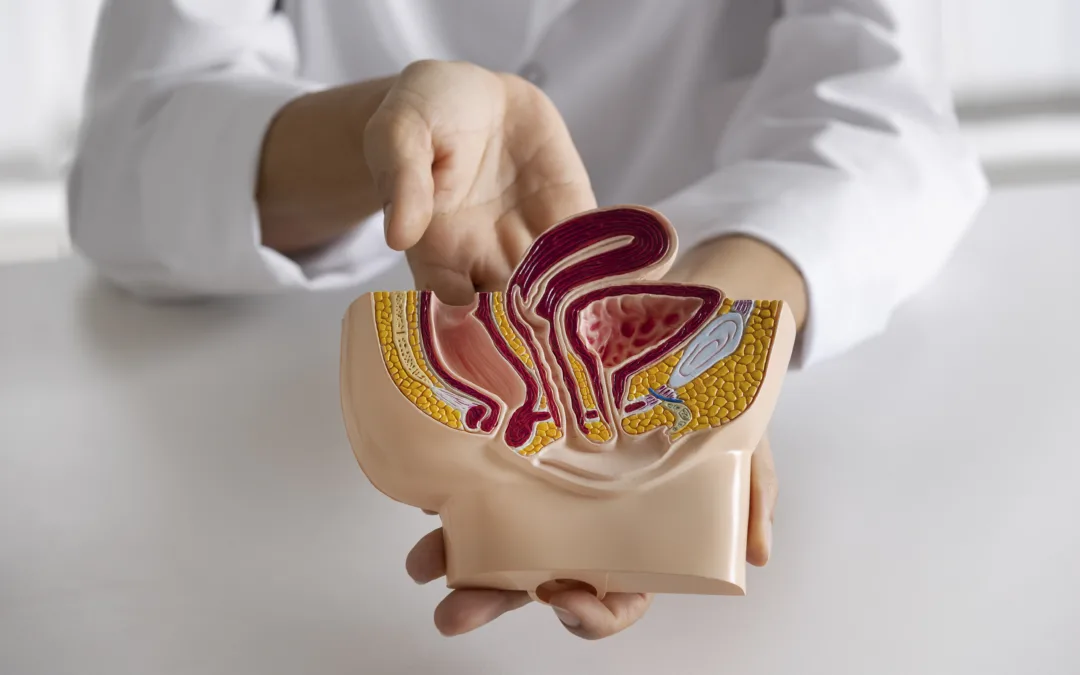 O que faz um Urologista?